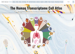 The Human Transcriptome Cell Atlas